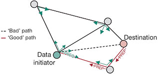 Figure 6. PREQ frames are distributed over the network reaching to the destination. The destination replies using the best path.